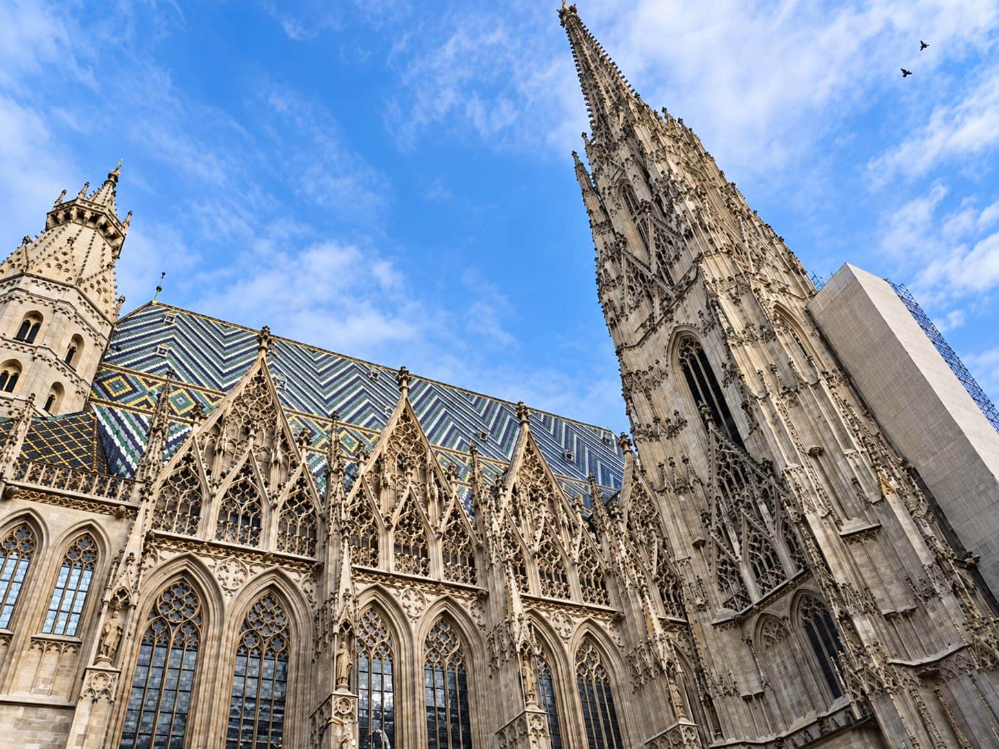 Vienna